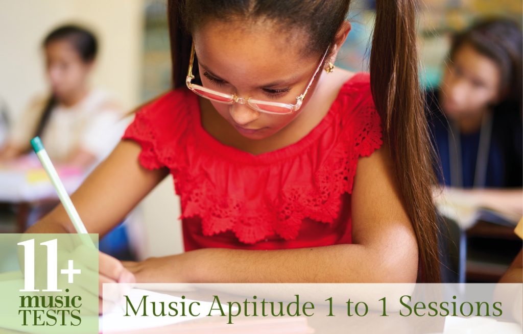 11 Plus Music Aptitude Test, 1 to 1 sessions